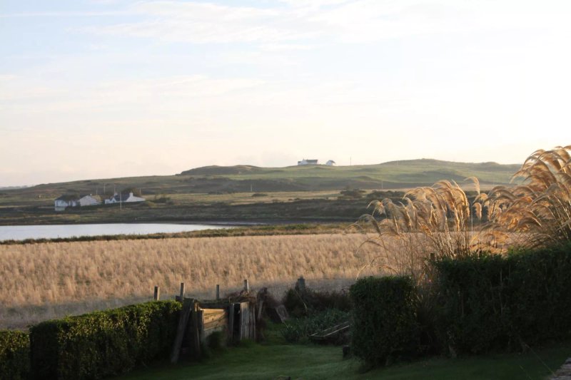 Allandale Bed and Breakfast