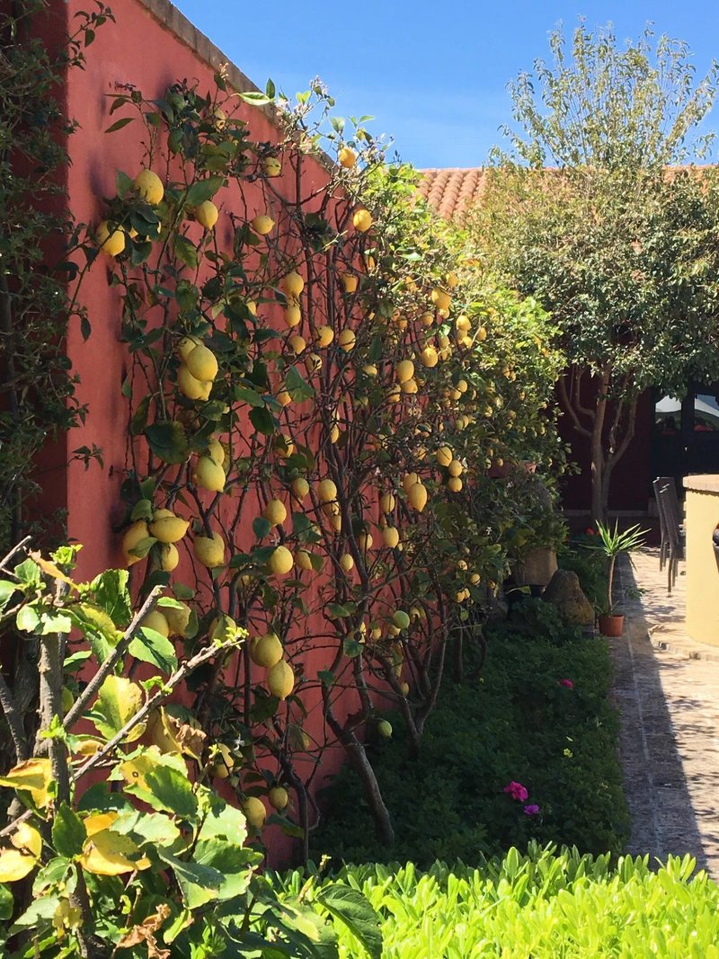 La locanda di Baccalamanza