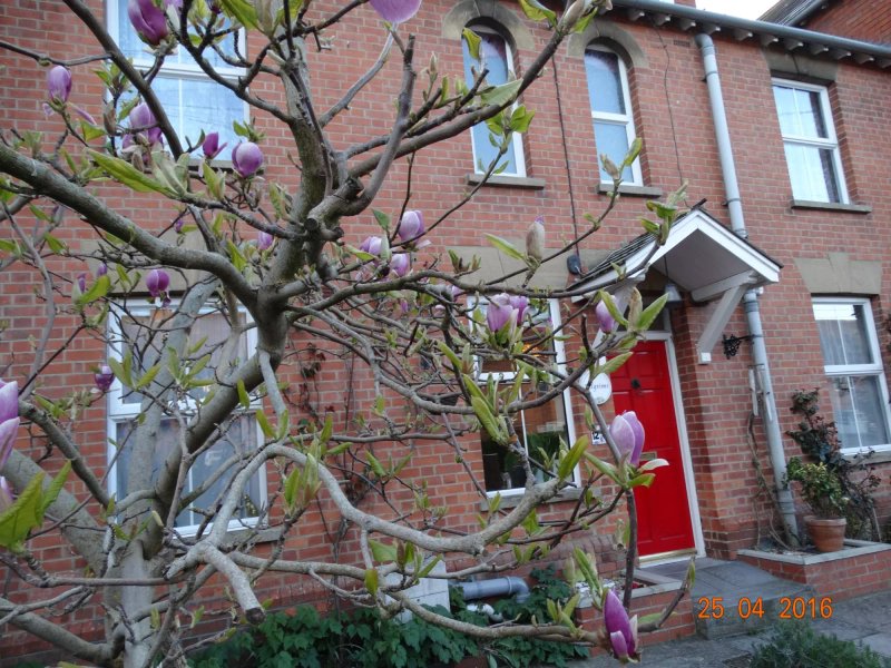 Pilgrims B&B