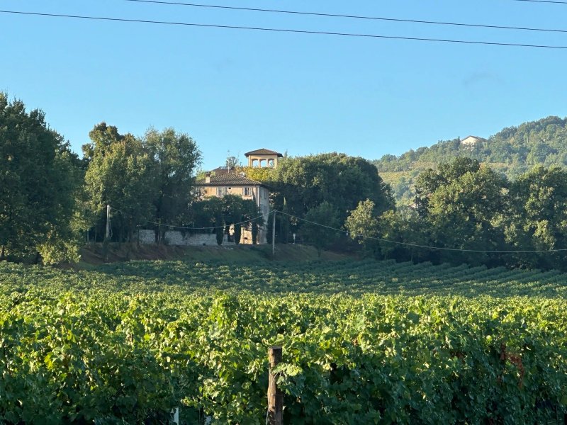 Bed and Breakfast - Borgo Villa Valentini