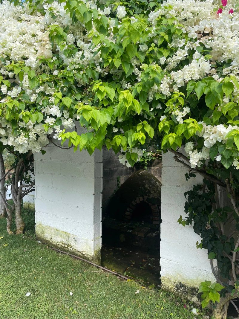 Il Borghetto Creative Resort