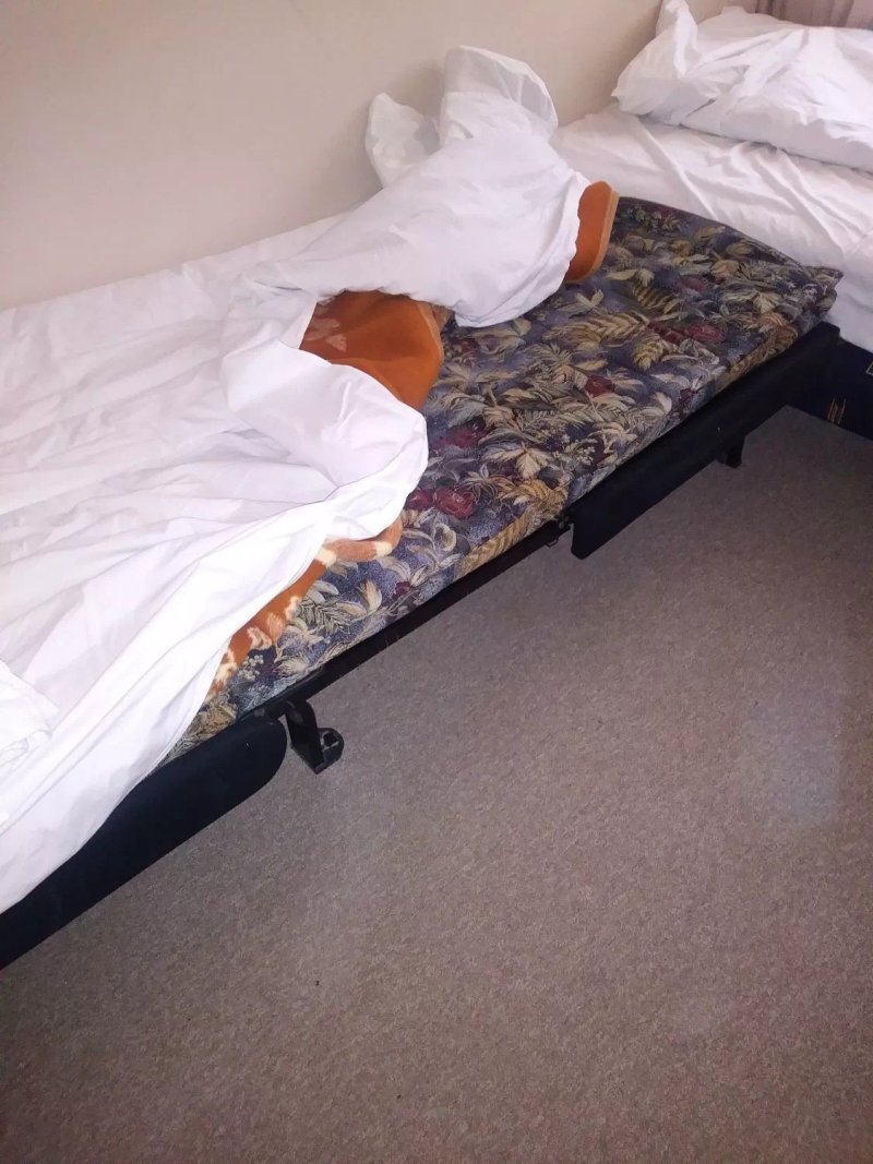 Hotel Danica