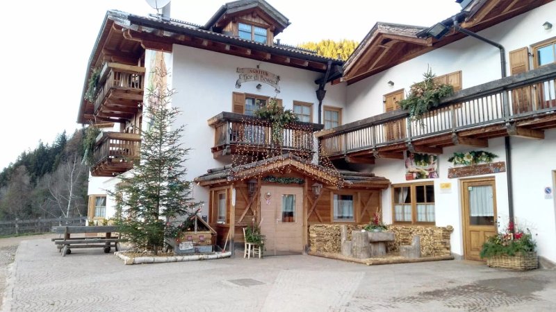 Agritur Fior di Bosco