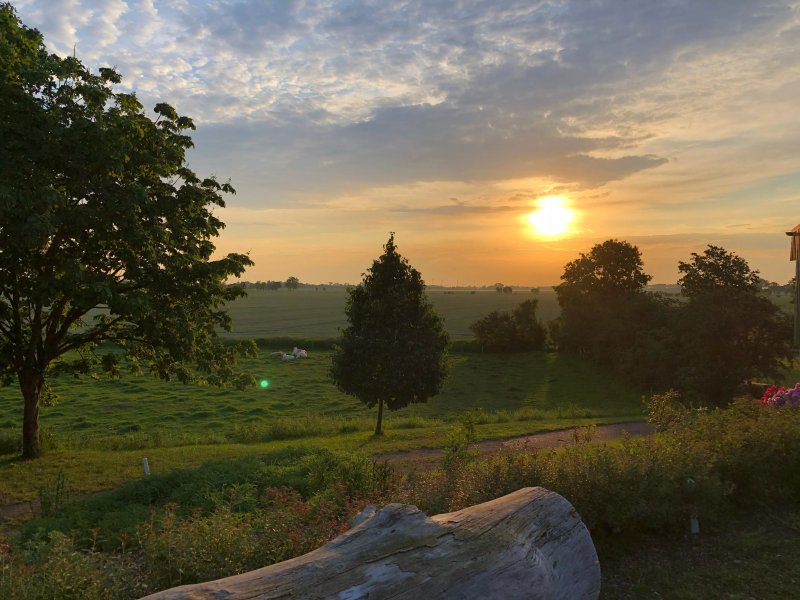 Gut Bielenberg - Kollmar