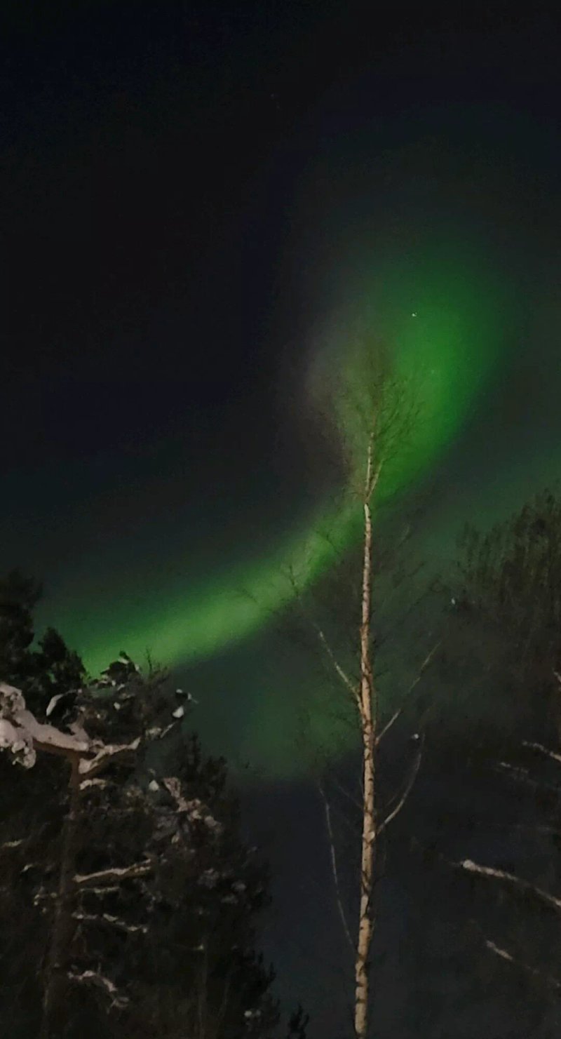 SKI-INN PyhäSuites huoneistot