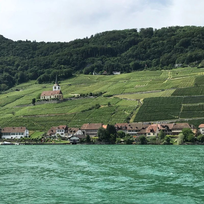 Bielersee gastro