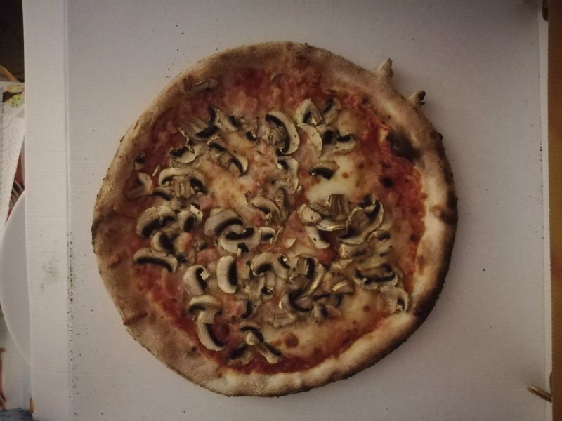 Made in Sud 2.0