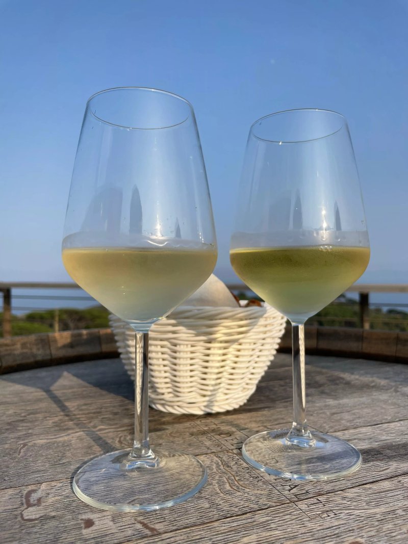 CANTINA Tenuta delle Ripalte