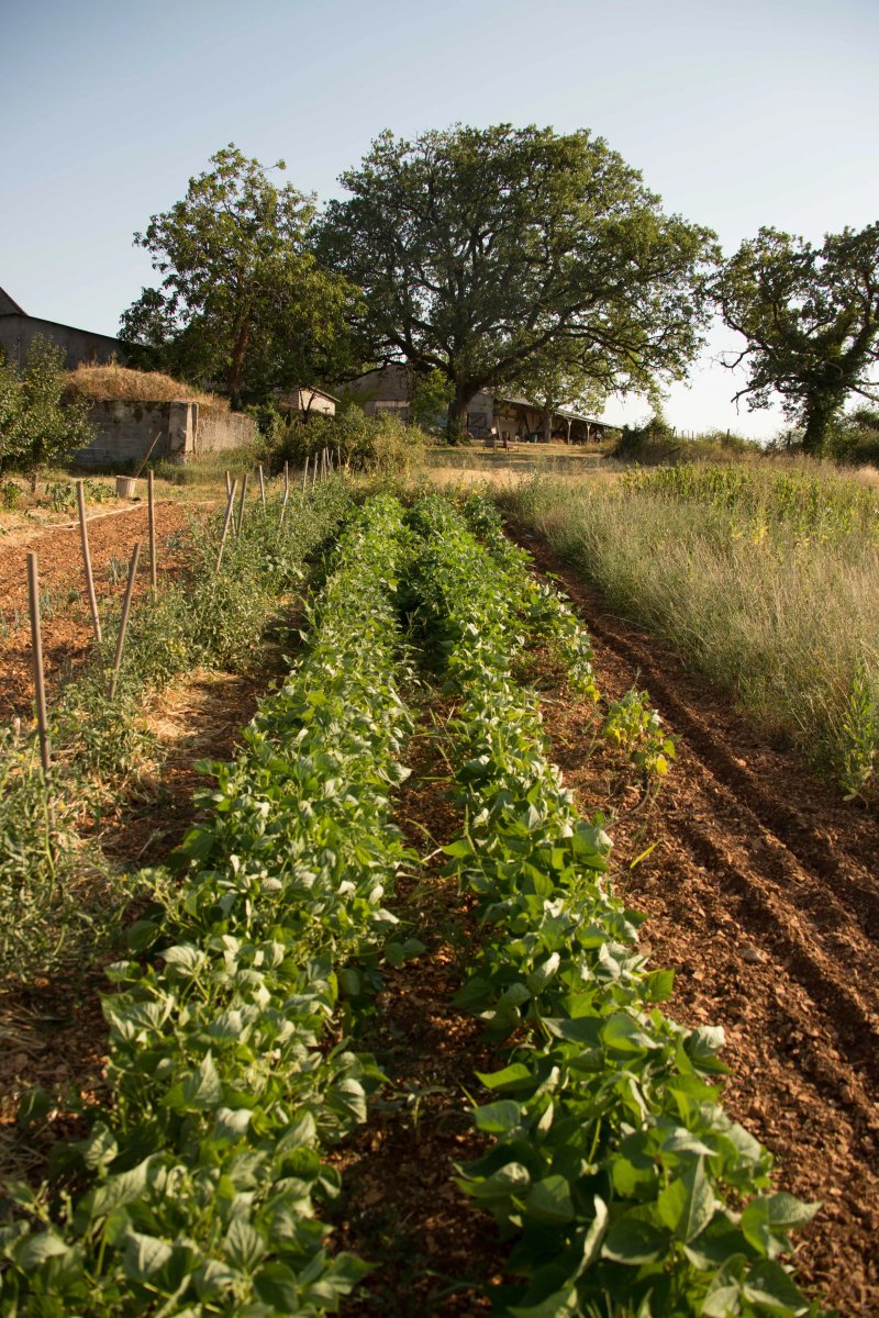 Domaine de Bel Air pour Gourmet Voyageur
