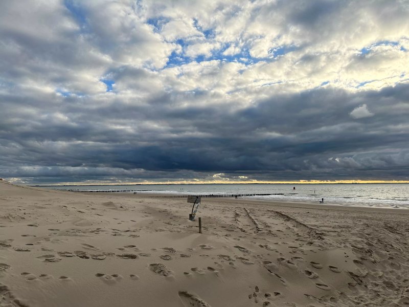 De Botanist Aan Zee
