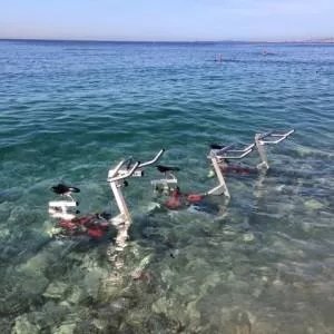 Aquabike By Fl'Eau