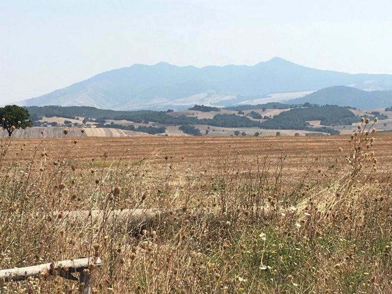 Agriturismo A Un Tiro di Schioppo