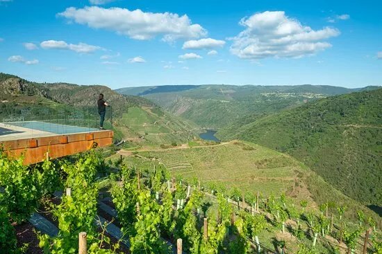 Bodegas Regina Viarum