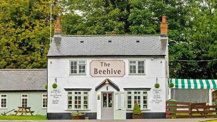 The Beehive
