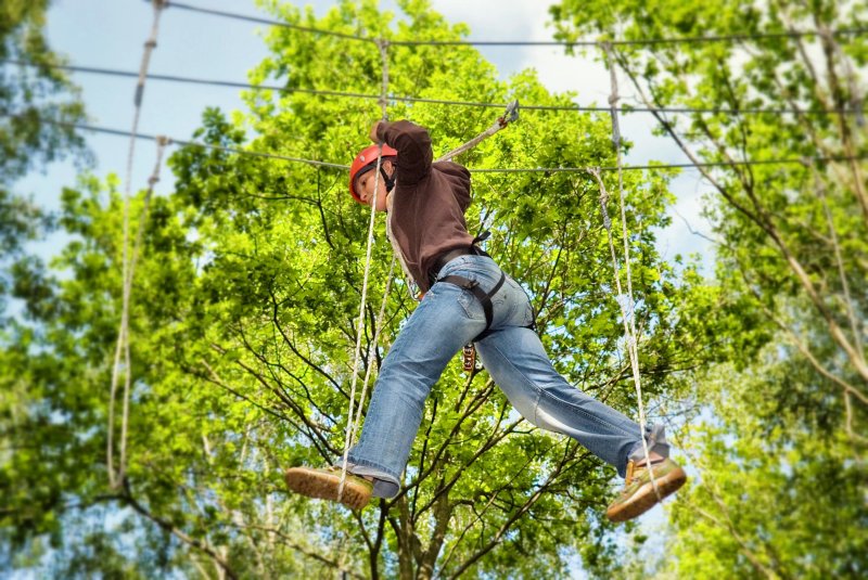 Kletterwald Koala