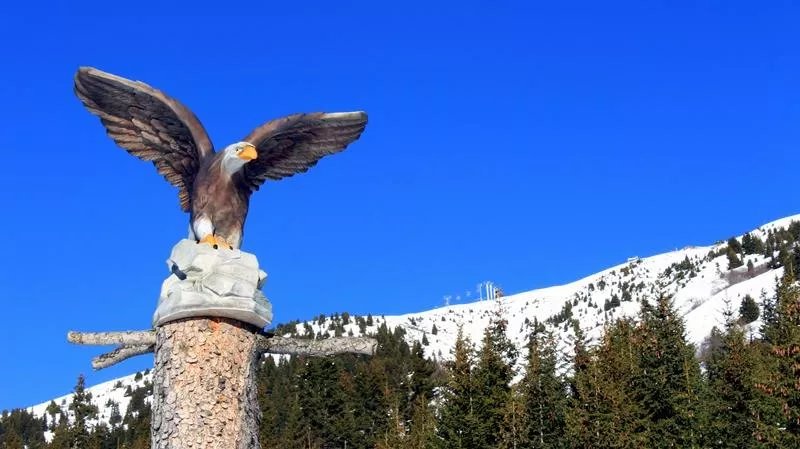 La Piste des Animaux