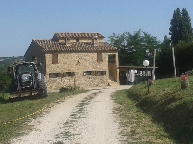 Agriturismo l'Ulivo