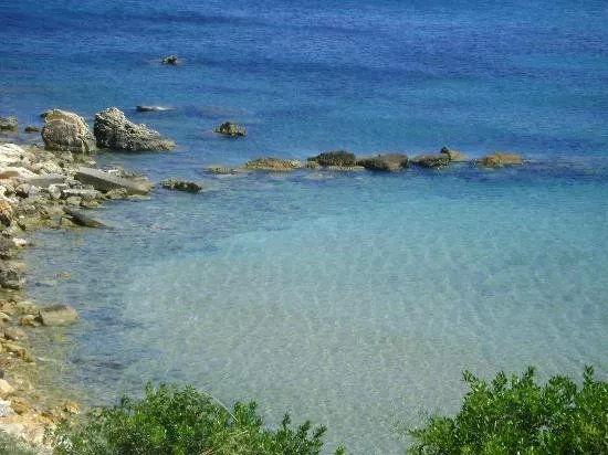 Alonissos Beach Bungalows & Suites Hotel