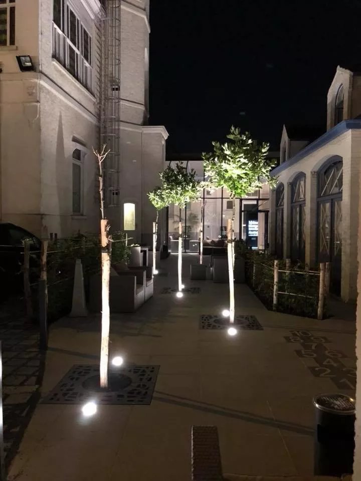 The Golden Tree Hotel