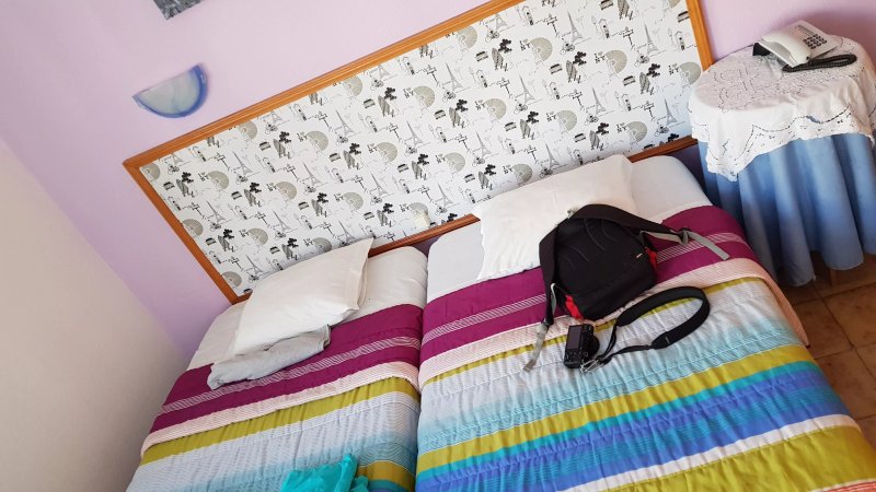 Hotel Palmeira