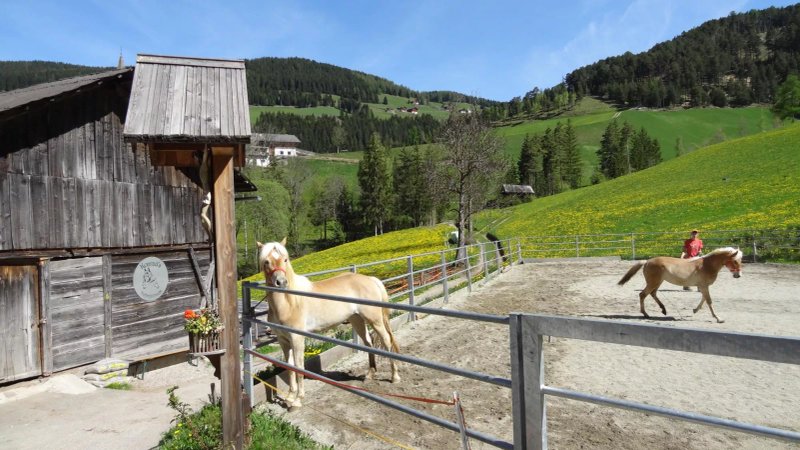 Hotel Ritterhof