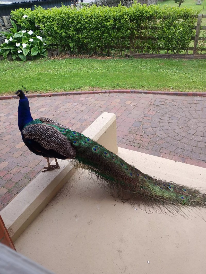 The Old Vicarage NI B&B