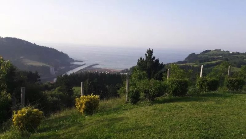 Arriola Txiki
