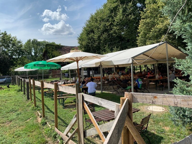 Bisonstube Bodenwald