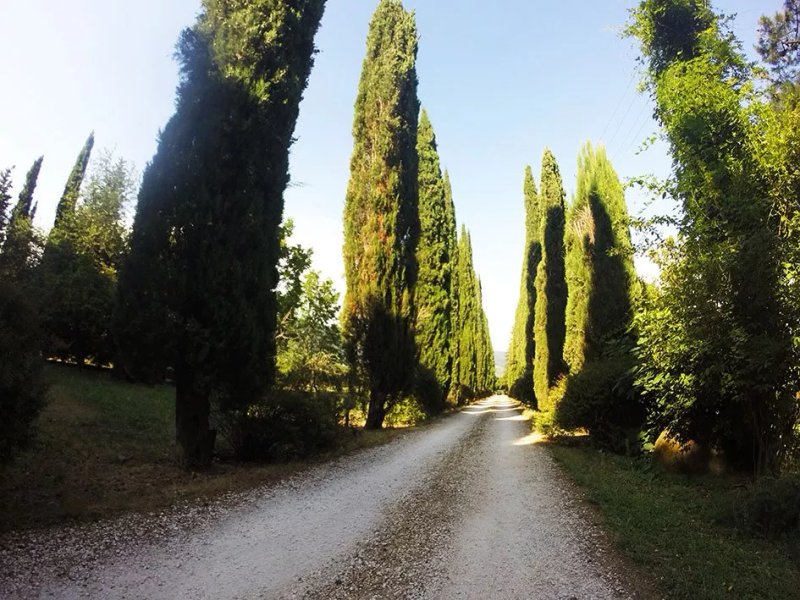 Tenuta La Vita