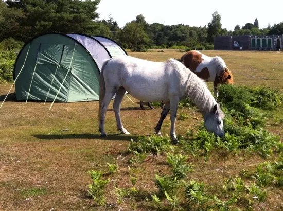 Roundhill Campsite