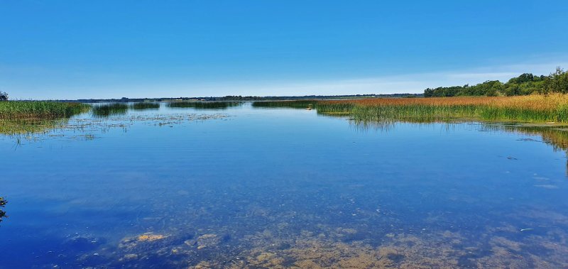 Lough Ennell