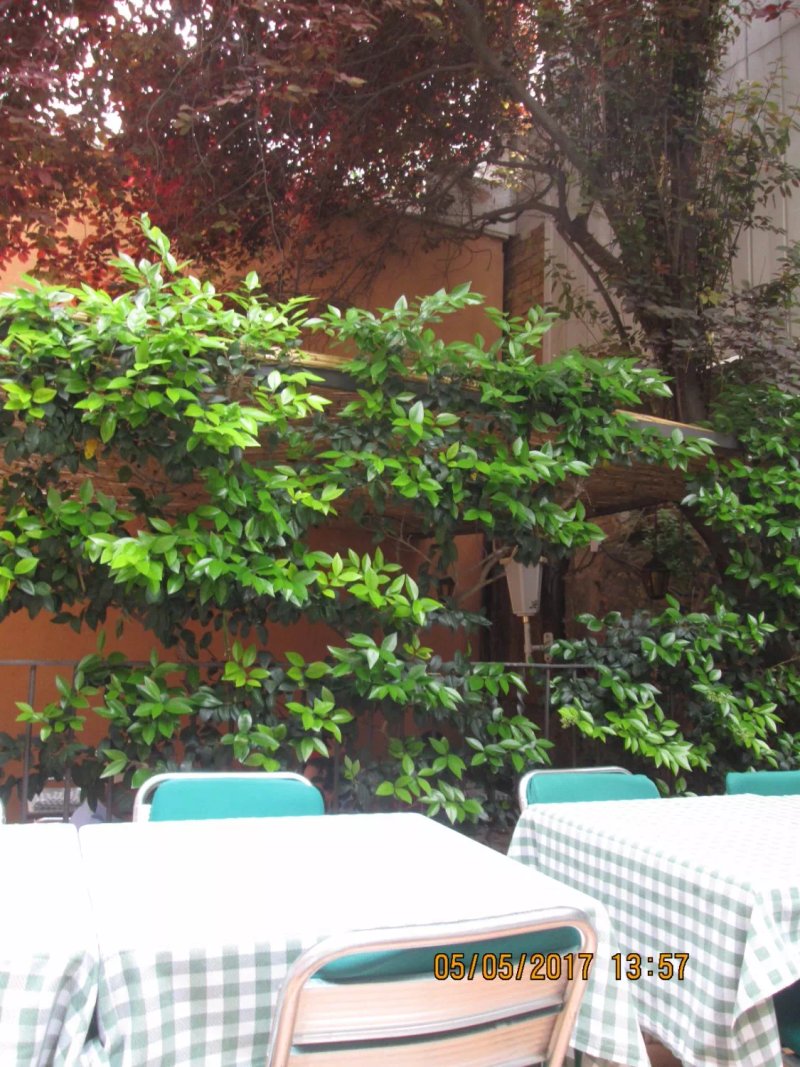Restaurante Pizzeria Clasico Duomo