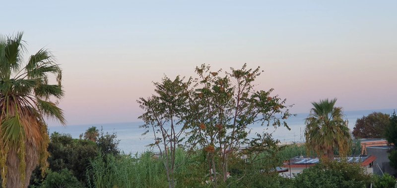 Hotel Eden Park Ischia