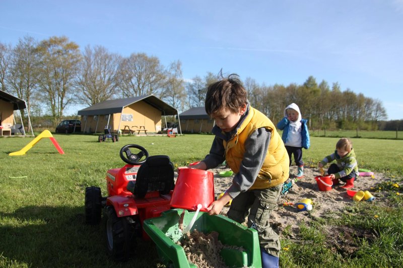 FarmCamps 't Looveld