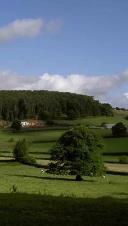 Paradise Farmhouse