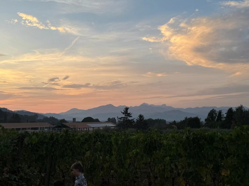 Tenuta Dello Scompiglio