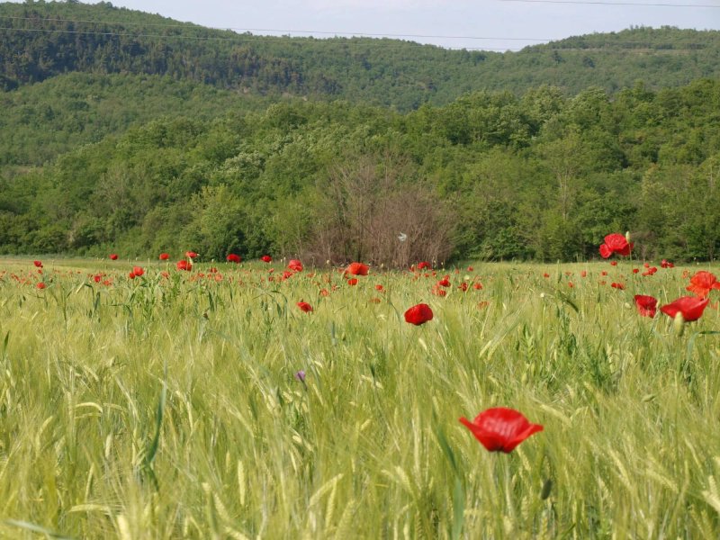 Casa di Graziella