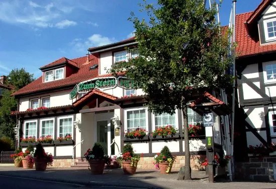 Parkhotel Zum Stern