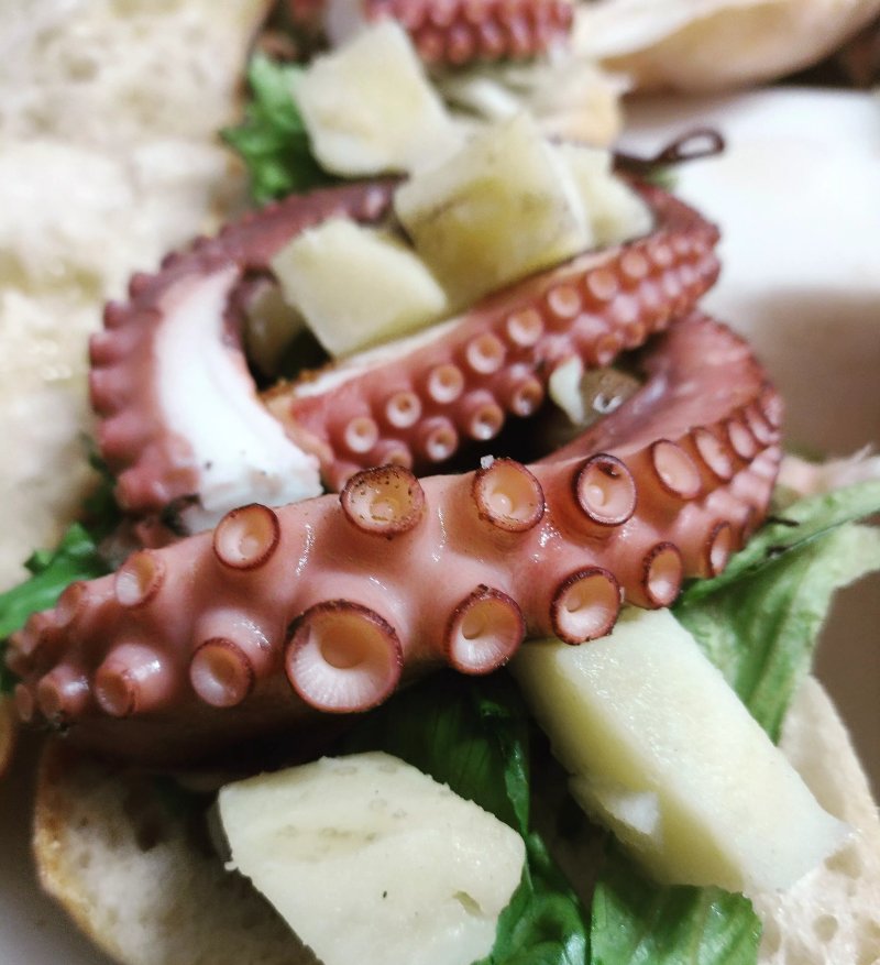 Medousa Novel Food