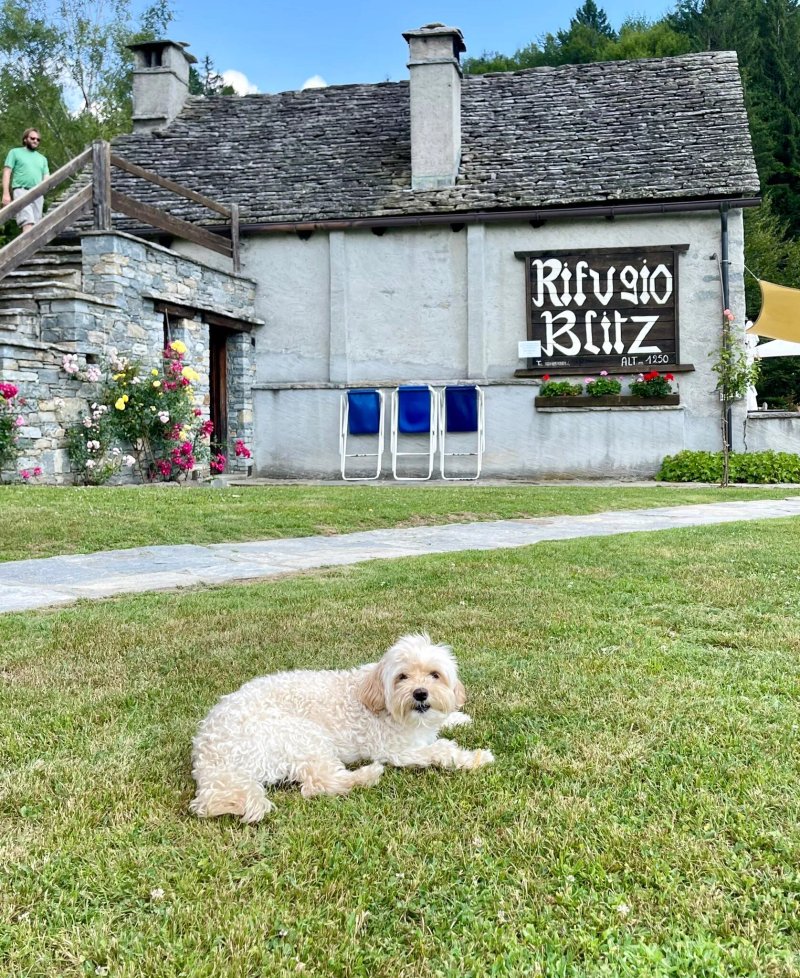 Ristorante Rifugio Blitz