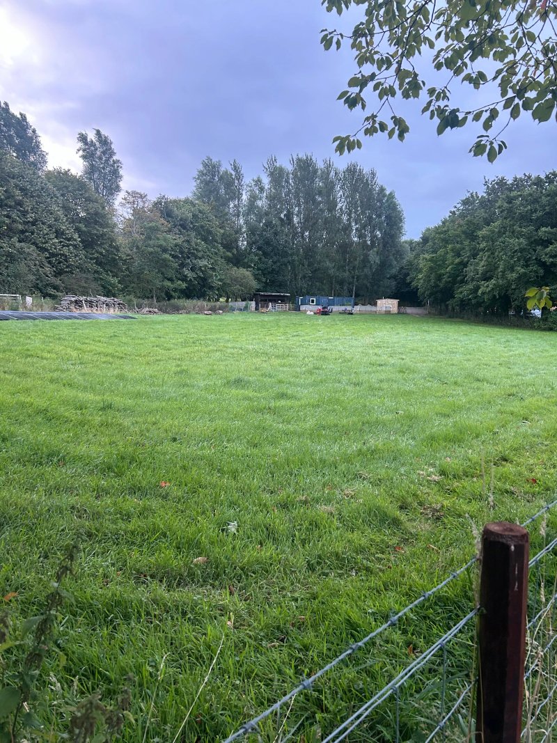 Budle Bay Campsite