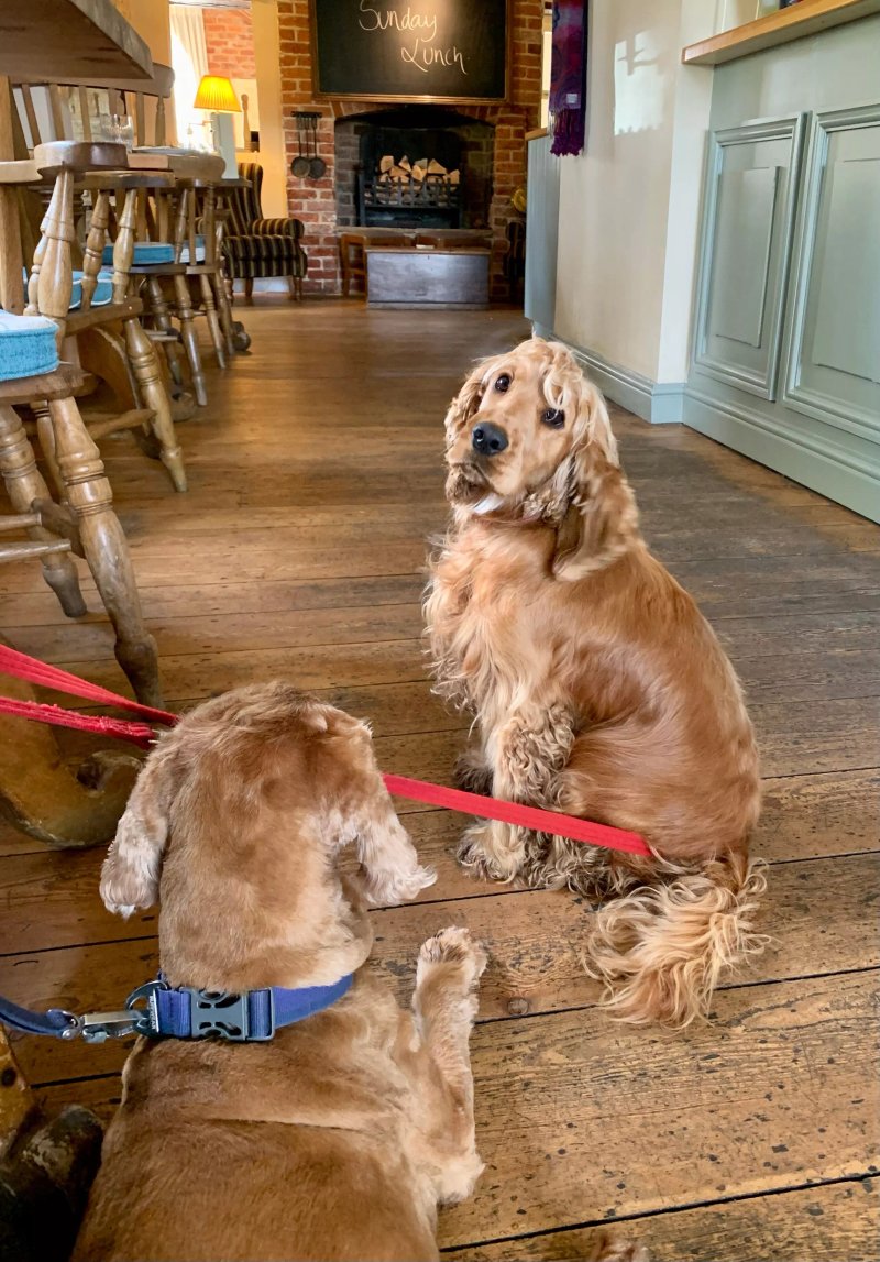 The Woodhouse Arms