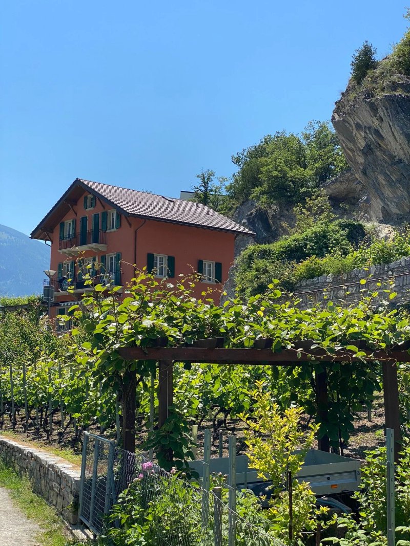cafe-restaurant du Petit Lac