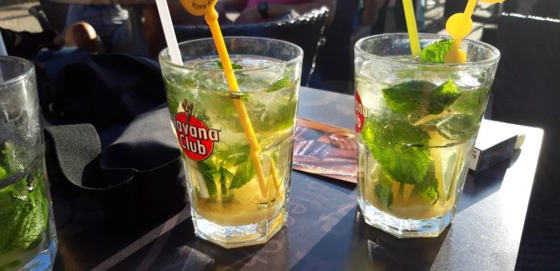 Cafe Nature
