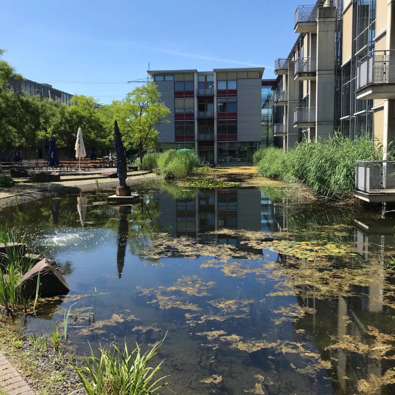 Campus Hotel