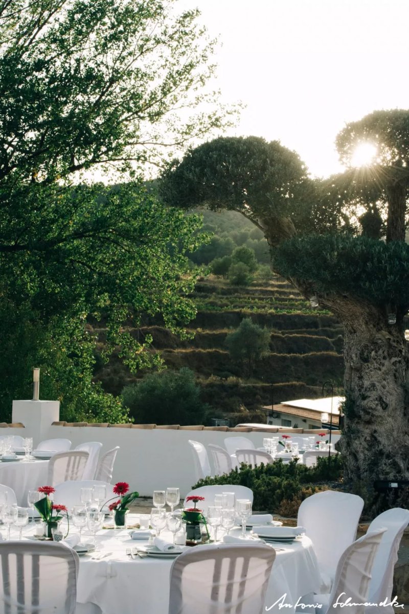Finca Seguro Bodega S.L.