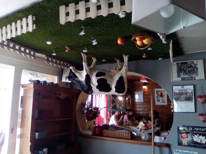 La Vache Au Plafond