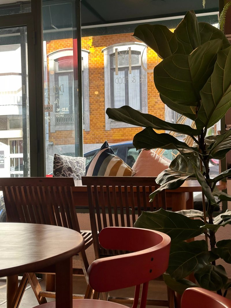 Dom - Specialty Coffee & Brunch