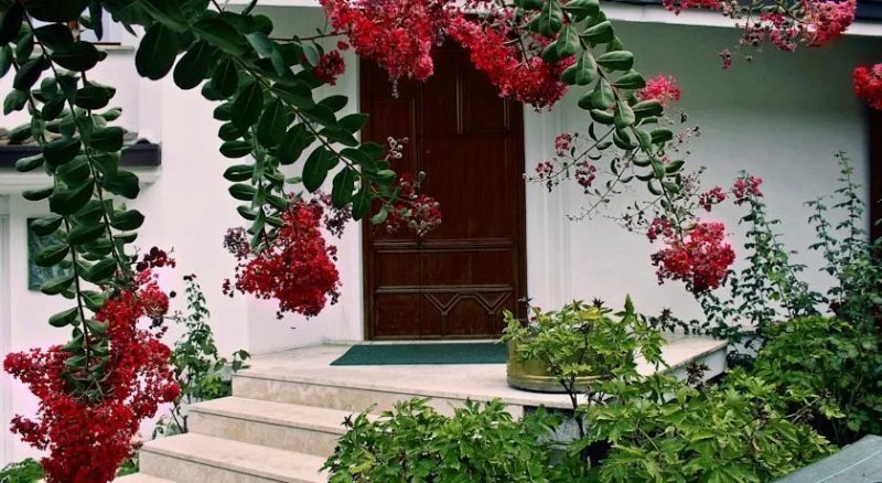 Villa Angelina
