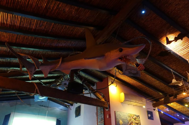 Bar Azul